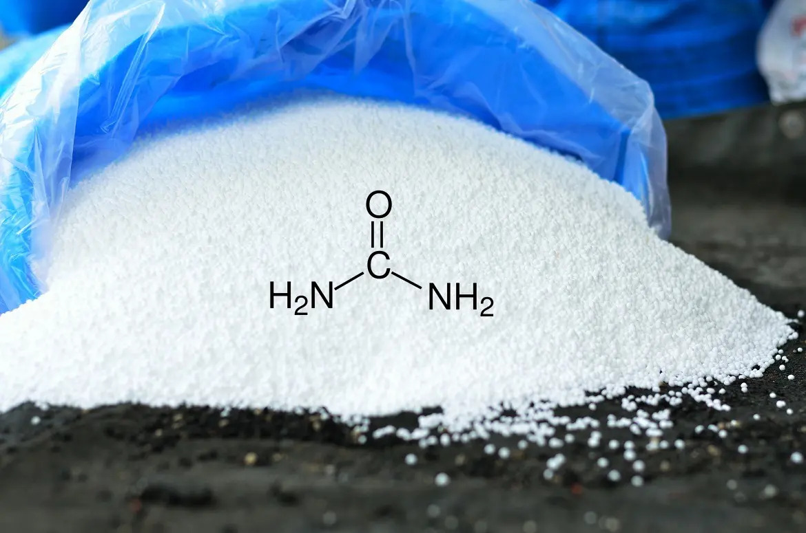 Urea Perlada Fertilizante Césped Plantas Bertinat 250 Gr - Imagen 2