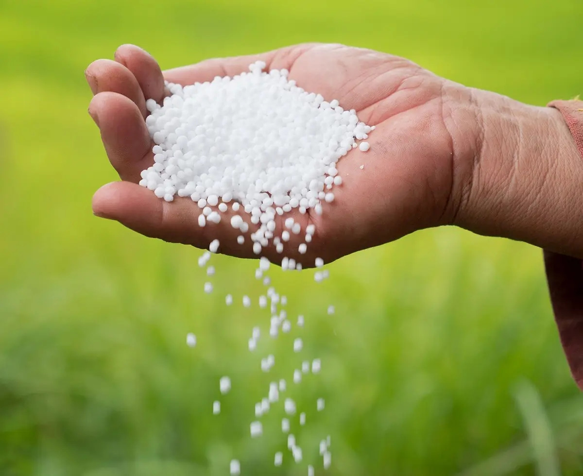 Urea Perlada Fertilizante Césped Plantas Bertinat 250 Gr - Imagen 3