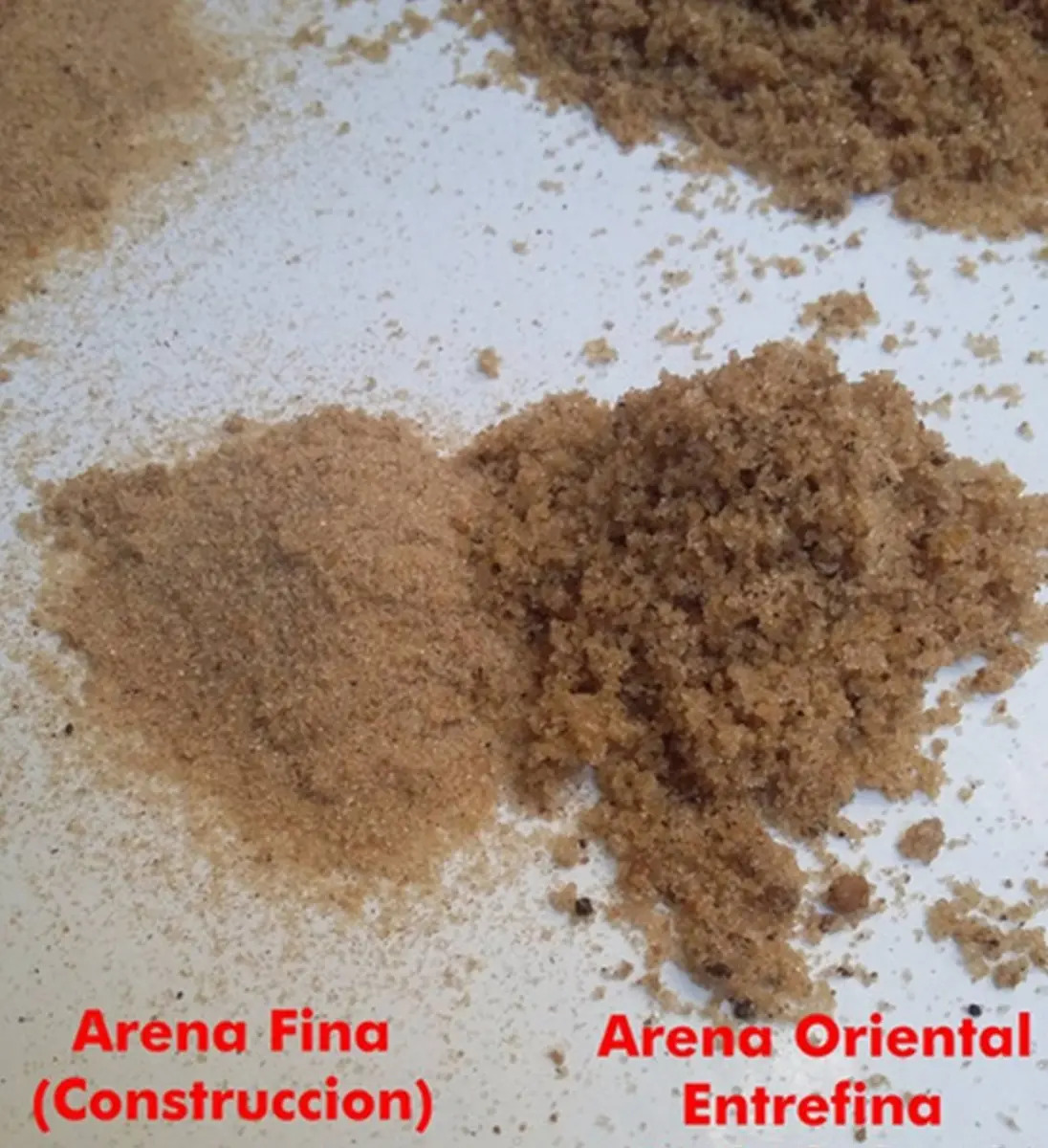 Arena Oriental Bertinat 3,5 Dm3 - Imagen 2