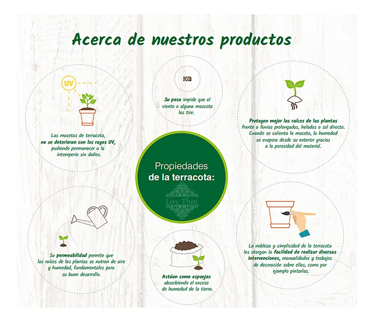 Plato Para Macetas Terracota Barro Blum N°18 - Imagen 6