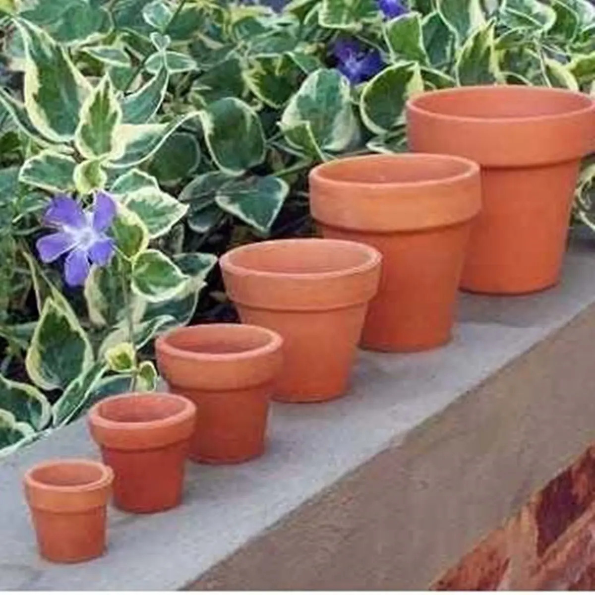 Maceta Comun N°22 Deco Terracota Barro Suculentas Eco Blum - Imagen 5