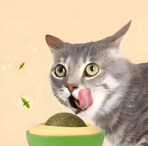 Juguete Bola Catnip Para Gatos Palta Pared Hierba Gatera - Imagen 11