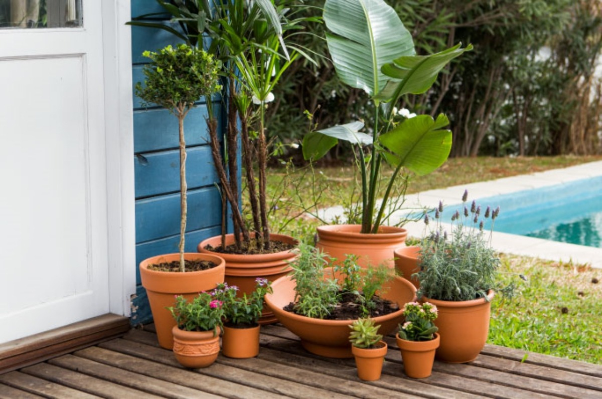 Maceta Comun N°22 Deco Terracota Barro Suculentas Eco Blum - Imagen 7