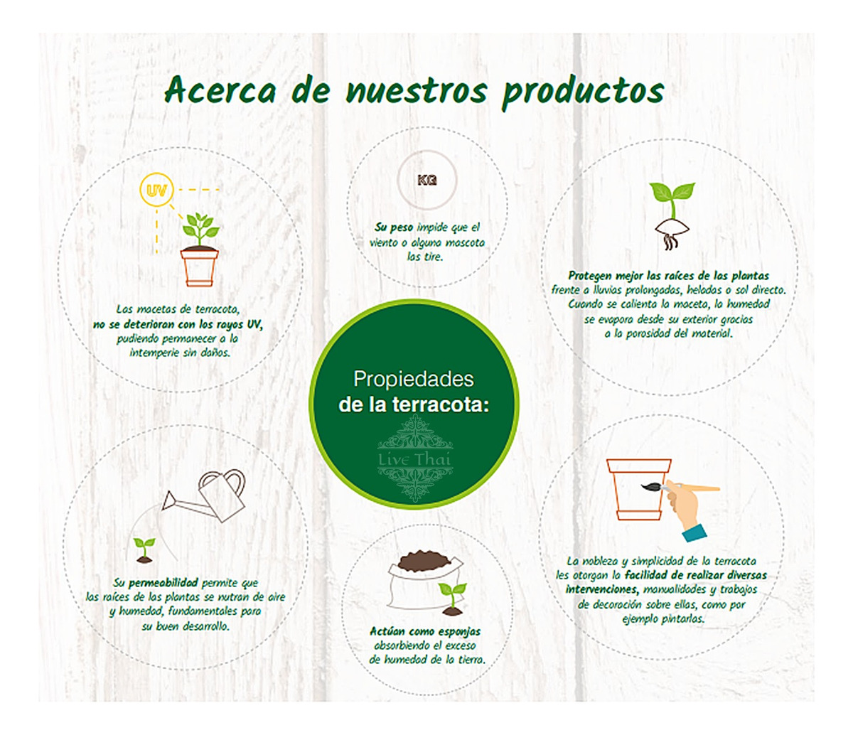 Plato N°16 Para Macetas Terracota Barro Redondo Deco Blum - Imagen 6