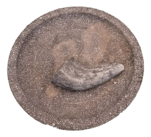 Mortero Cuenco De Piedra Importado De Bali 30 Cm