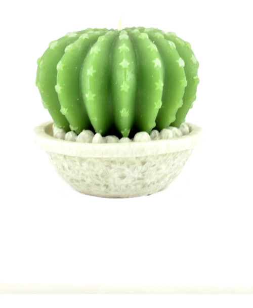 Vela Cactus Deco Spa 8 Cm Verdes