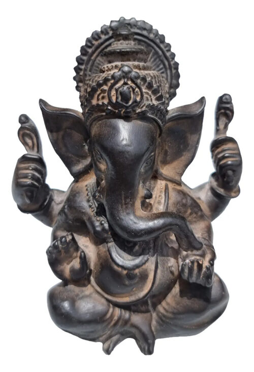 Ganesh Sabiduria Remueve Obstaculos Paz Armonia 13cm