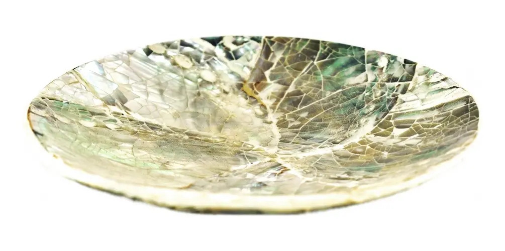 Plato Nácar Redondo Abalone 9cm Deco Moderno Mesa Mar - Imagen 2