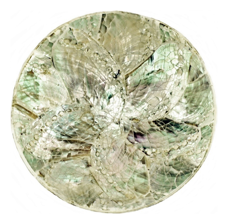 Plato Nácar Redondo Abalone 10 Cm Mesa Deco Moderno Mar - Imagen 3