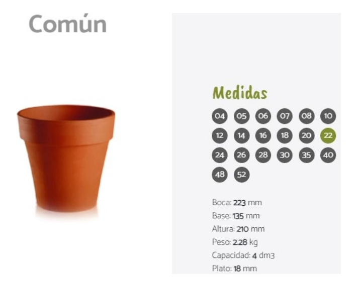 Maceta Comun N°22 Deco Terracota Barro Suculentas Eco Blum - Imagen 2