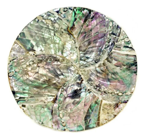 Plato Nácar Redondo Abalone 9cm Deco Moderno Mesa Mar