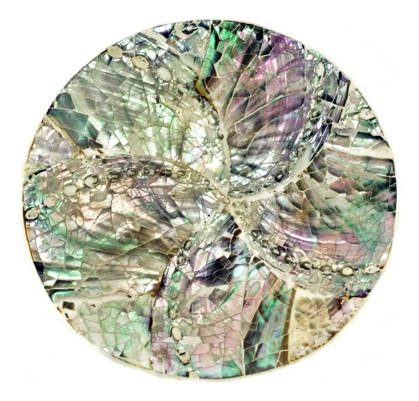 Plato Nácar Redondo Abalone 9cm Deco Moderno Mesa Mar
