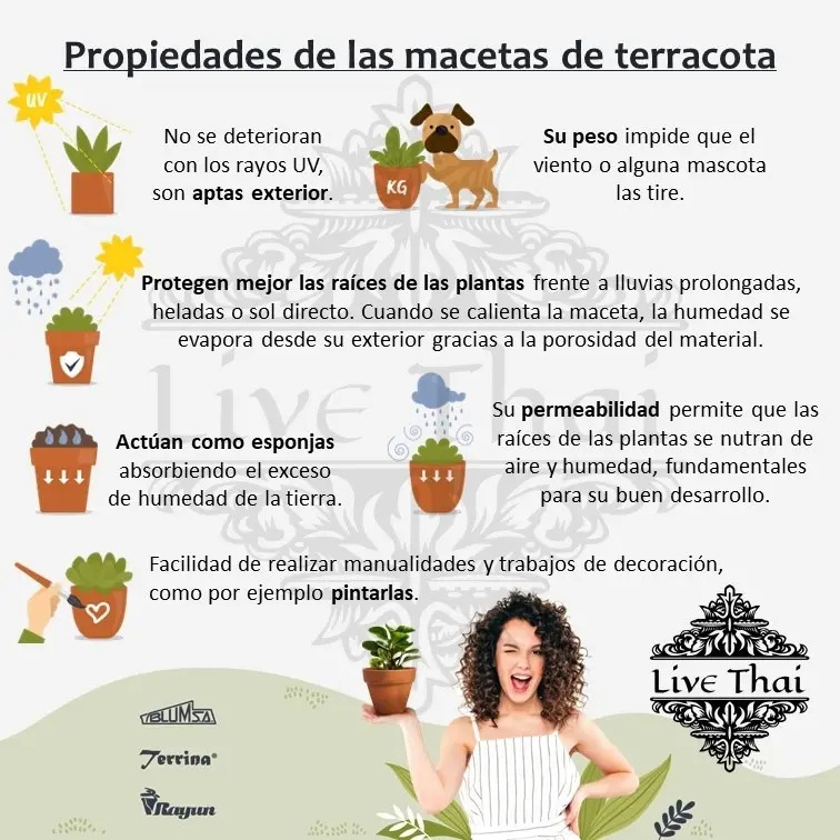 Plato Para Macetas Terracota Barro Blum N°18 - Imagen 5