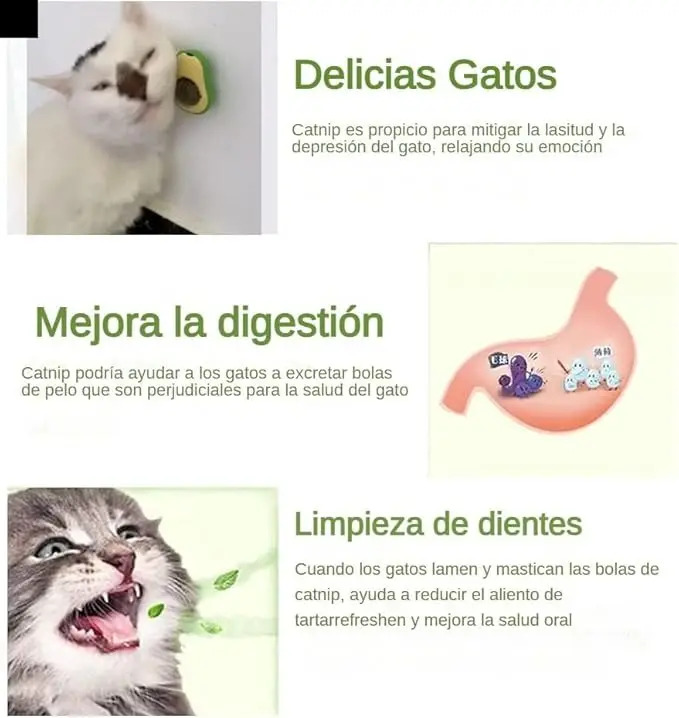 Juguete Bola Catnip Para Gatos Palta Pared Hierba Gatera - Imagen 5