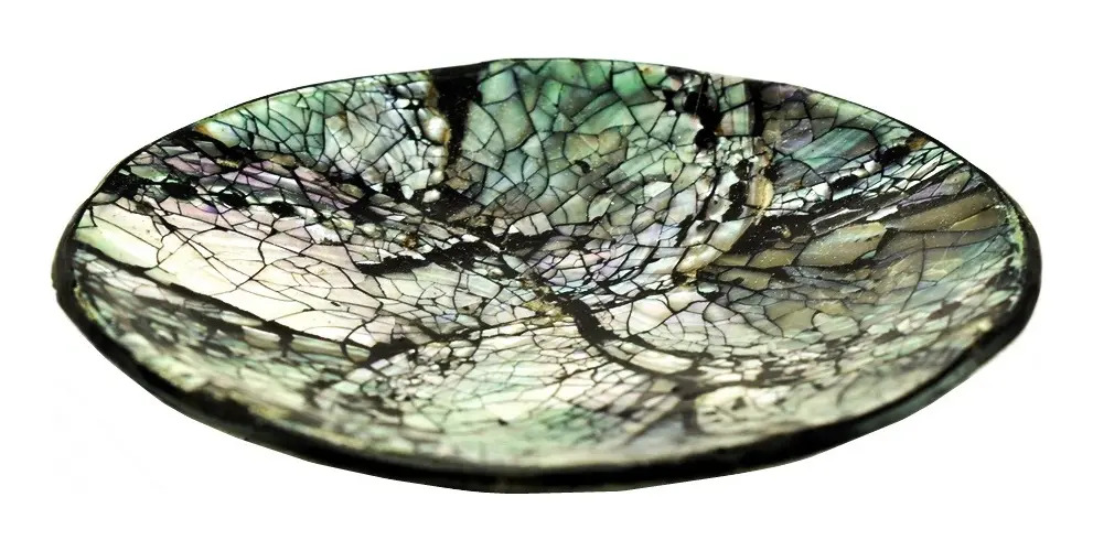 Plato Nácar Redondo Abalone 9cm Deco Moderno Mesa Mar - Imagen 5
