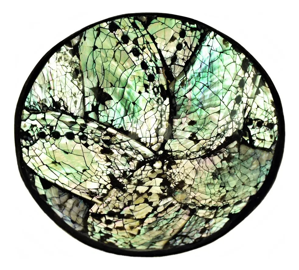 Plato Nácar Redondo Abalone 10 Cm Mesa Deco Moderno Mar - Imagen 6