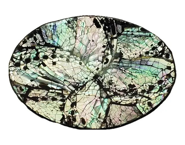 Plato Nácar Oval Abalone 10x8cm Mesa Deco Mar Moderno - Imagen 3
